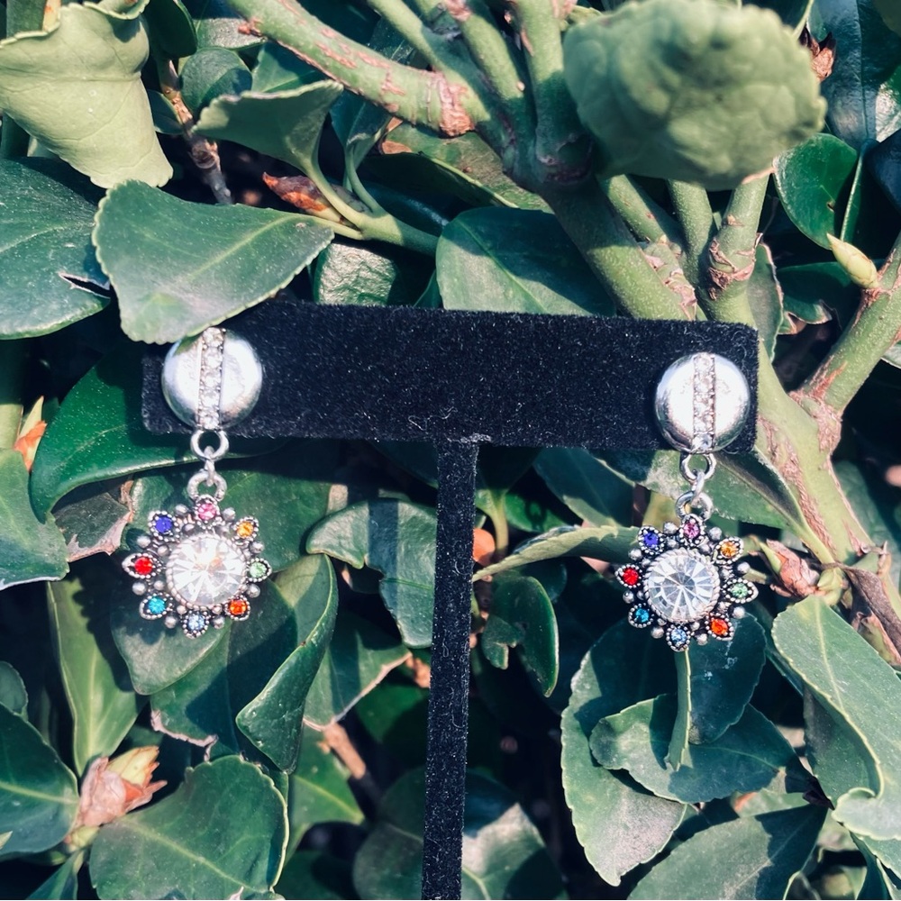 Multicolor Crystal Earrings